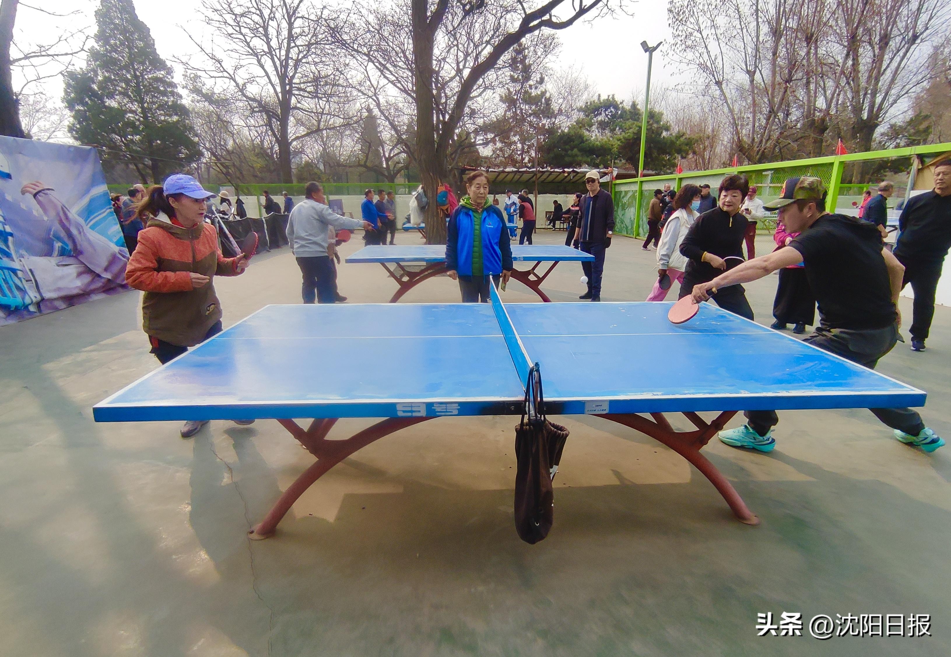 公园“小乒乓”赛出全民“大健身”～沈阳户外乒乓爱好者有近5万人，场地有近80处-第2张图片-ZBLOG