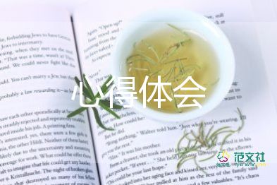 最新2022团队执行力心得体会模板6篇