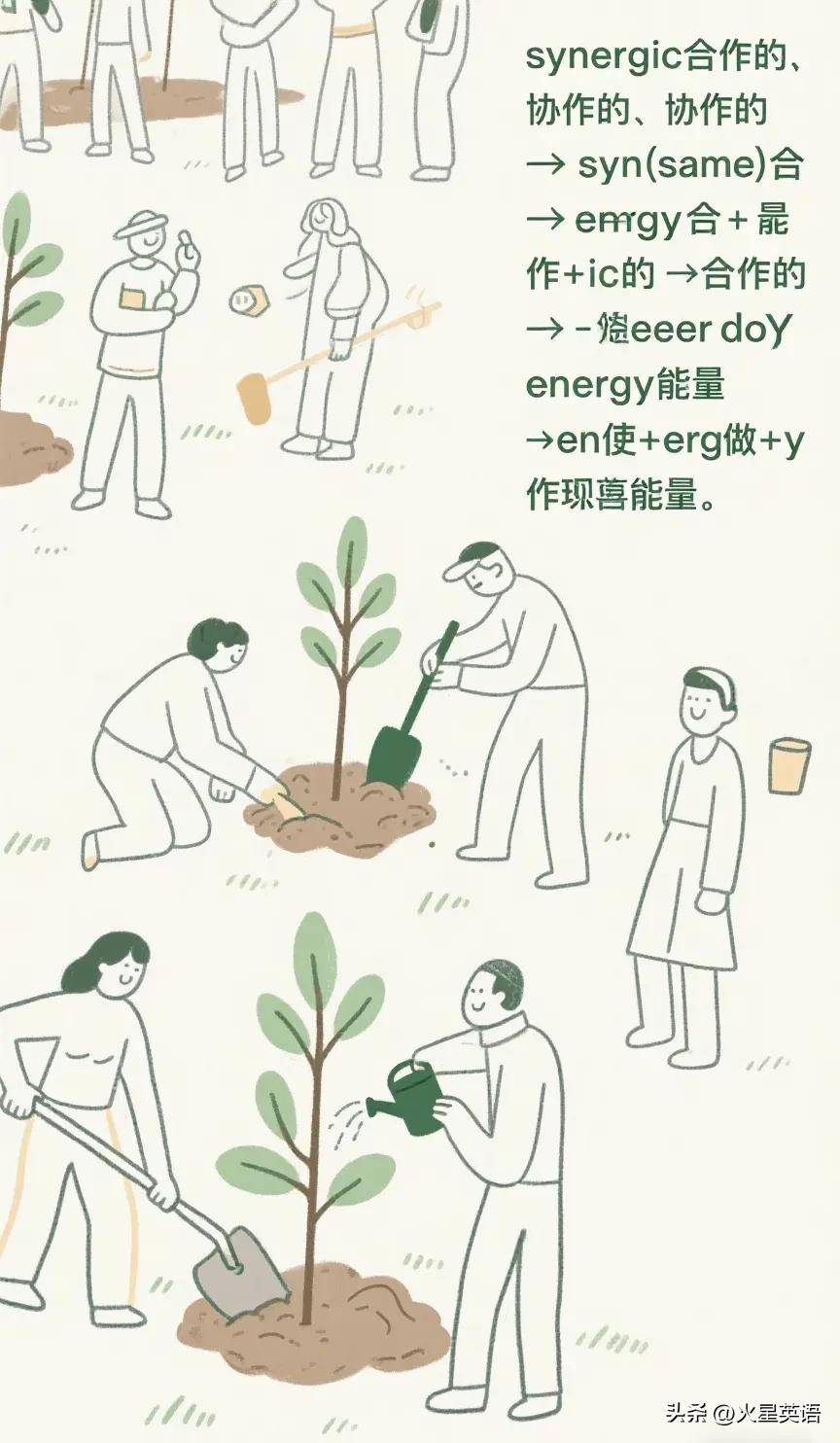 会上瘾的单词记忆术synergic合作的、协作的-第4张图片-ZBLOG