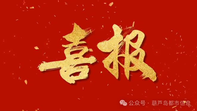 葫芦岛张宇轩、张峻宁、王建麾、马舒童、苏宇轩、徐启涵6位同学获省一等奖-第10张图片-ZBLOG