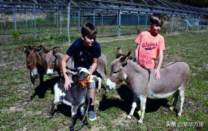 西班牙经济高于山东省，人口4700万，普通人一月工资多少钱？-第2张图片-ZBLOG