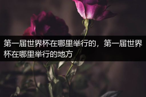 第一届世界杯在哪里举行的，第一届世界杯在哪里举行的地方-第1张图片-ZBLOG
