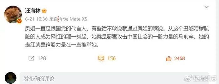 汪海林炮轰凤姐：一直都是恨国党的代言人、恶毒攻击中国的马前卒-第1张图片-ZBLOG