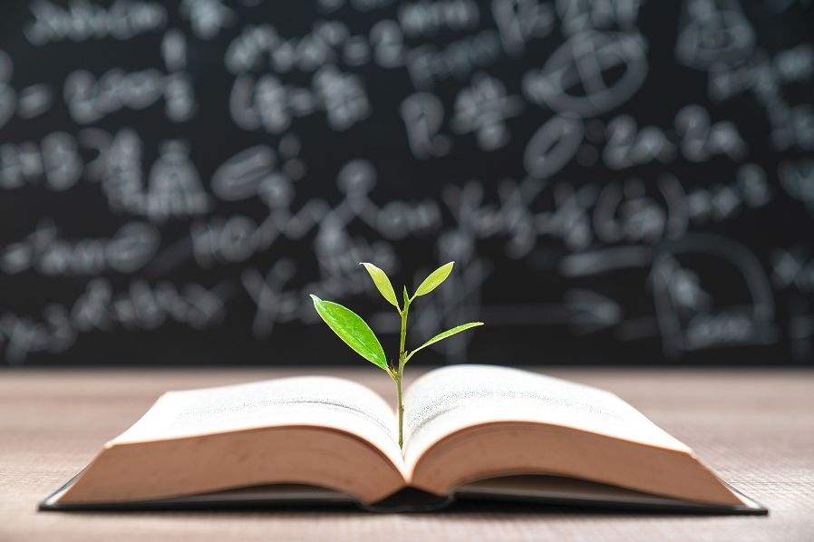 企业的第二核心是管理,掌握这6个步骤,打造一个高效团队-第2张图片-ZBLOG 团队目标设定_如何打造高效团队_创业者心态