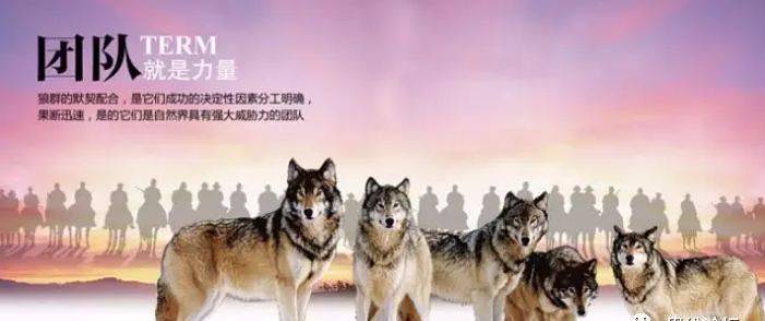 不要轻易离开团队，否则你要从零做起！