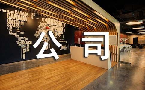 新公司组建方案