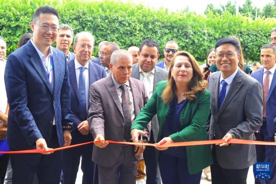 突尼斯工业部长：希望与中国加强汽车行业合作