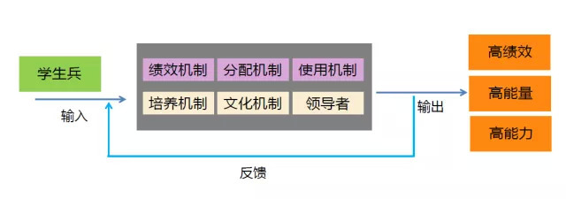 施炜：逆周期影响下如何构建特别能战斗的高能力组织？-第2张图片-ZBLOG