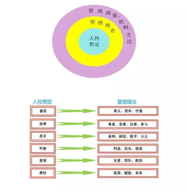施炜：逆周期影响下如何构建特别能战斗的高能力组织？-第5张图片-ZBLOG